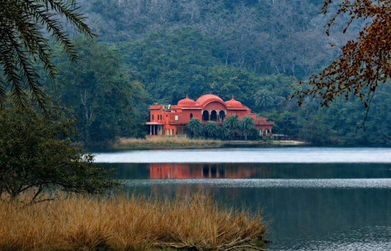 Is the Wellness Sanctuary Rajasthan the Best Retreat Ever?