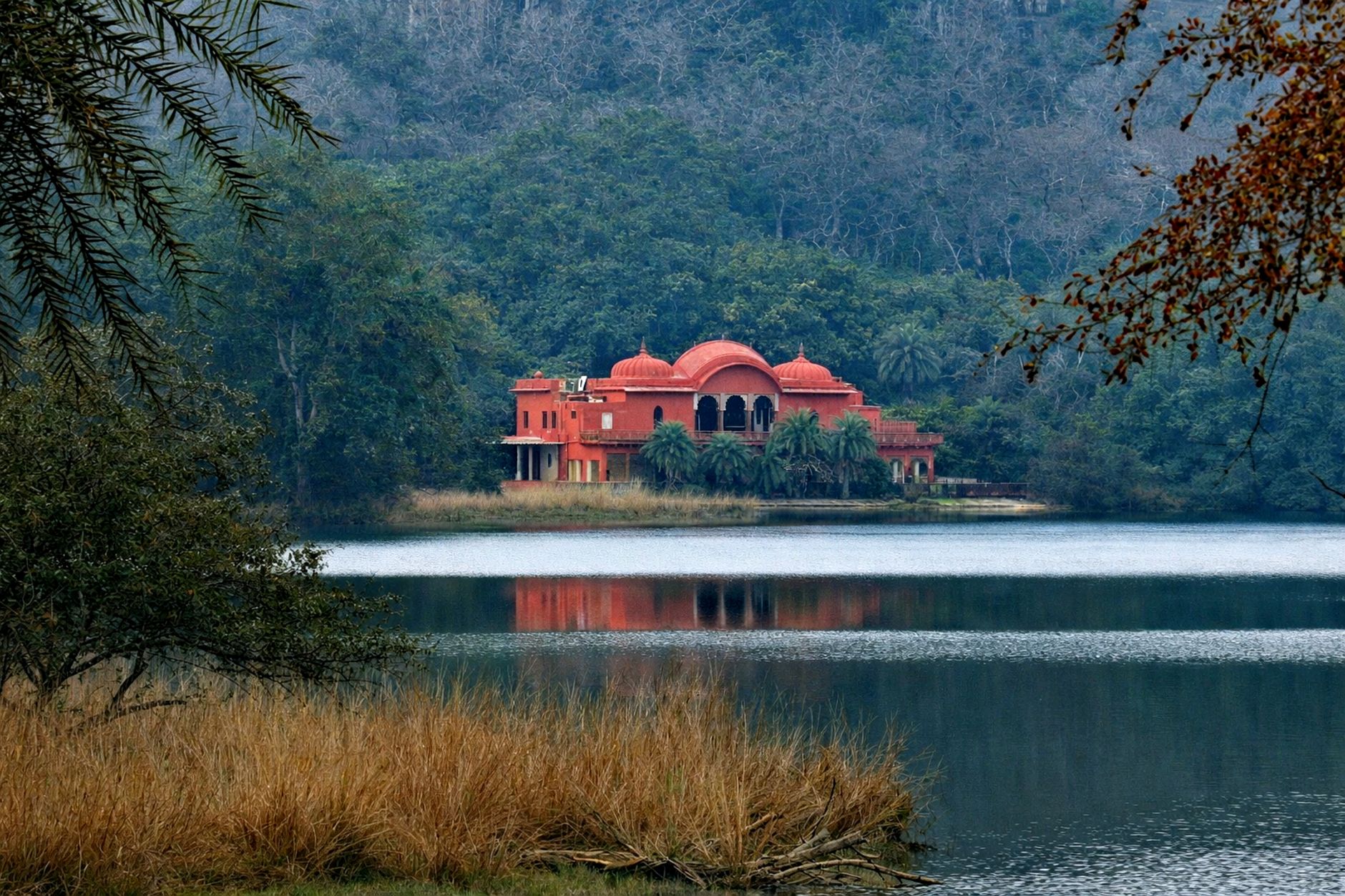 Is the Wellness Sanctuary Rajasthan the Best Retreat Ever?